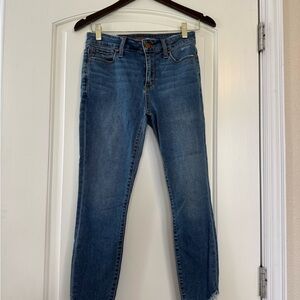 Joe's Jeans Blue Skinny Jeans